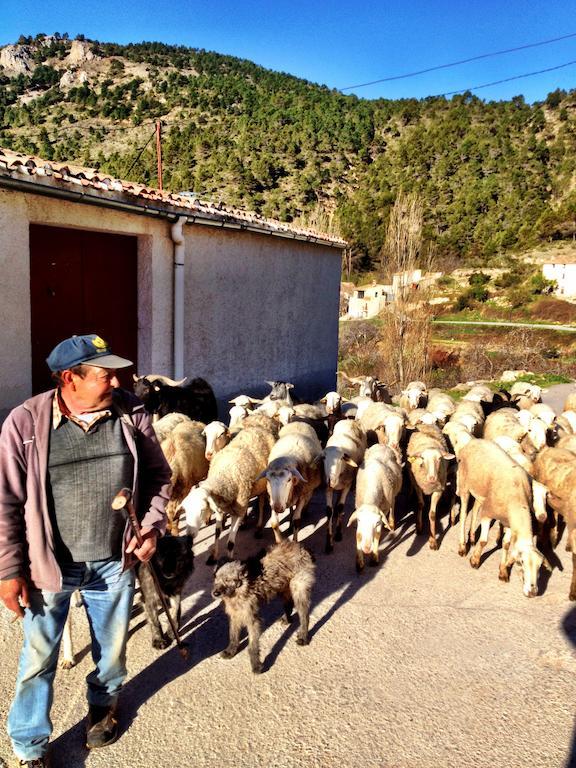 Casas Rurales Vegasierra Bogarra Екстер'єр фото