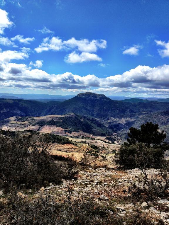 Casas Rurales Vegasierra Bogarra Екстер'єр фото